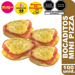 Mini pizzas x 100 unidadas